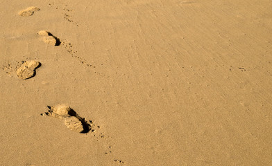 Sand Footsteps