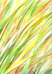 Background with grass watercolor painted.