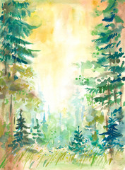 Fototapeta na wymiar Forest in summer watercolor painted.