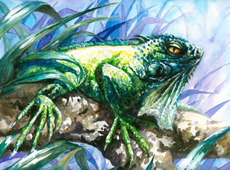 Green iguana watercolor painted.