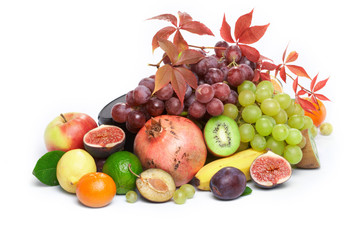 fruit