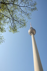 Berliner Fernsehturm mit Baum Hochformat