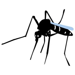 mosquito