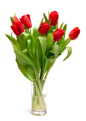 red tulips