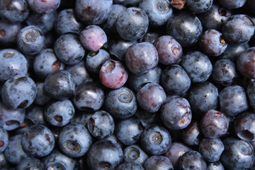 blueberries background