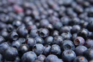 blueberries background