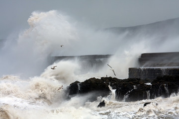 Holyhead Breakwater