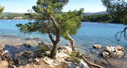 Fototapeta na wymiar Adriatic seaside