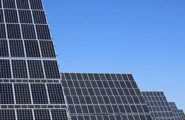 Obraz premium solar field