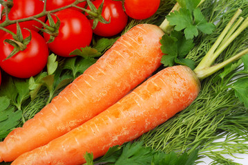 The carrots and tomatoes and other vegetables
