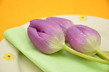 Tulips on a Plate
