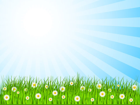 Fr&uuml;hling