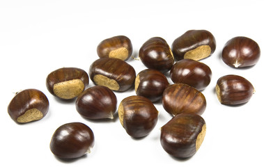 Chestnuts (castanea sativa) on white background
