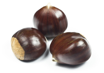 Chestnuts (castanea sativa) on white background