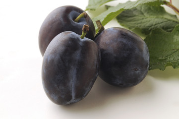 Prugna - Prunus domestica