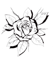 Rose shape.My own artwork.
