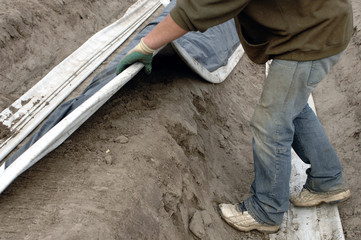 Obraz premium Spargelernte in Deutschland