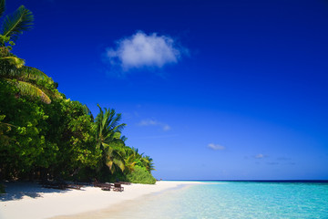 Tropical Paradise at Maldives