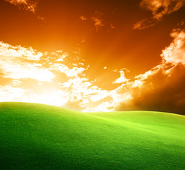 Fototapeta na wymiar field of grass and sunset
