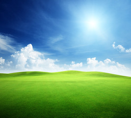 Fototapeta premium field of grass and perfect sky