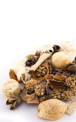 A set of dried herbs and spices