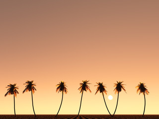 Fototapeta na wymiar sous les palmiers
