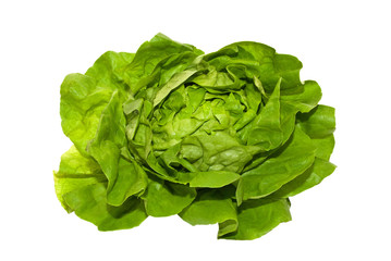 Kopfsalat