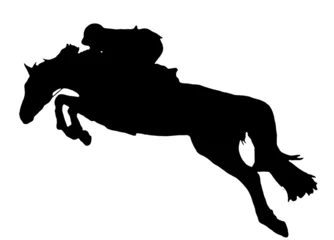 Photo sur Plexiglas Léquitation horse jump silhouette