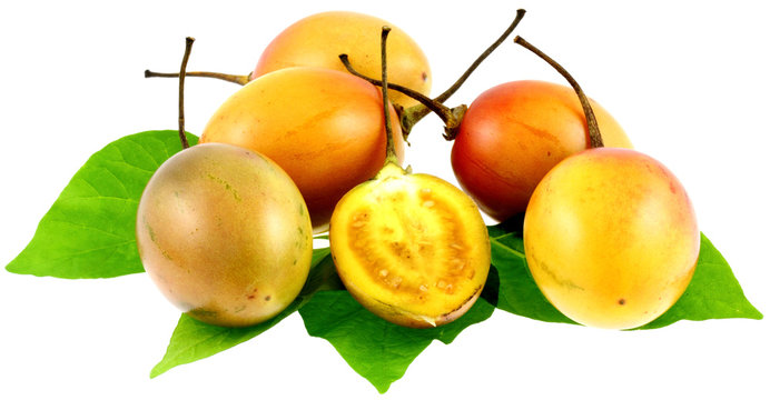 tomates arbustes, tomates en arbre, tamarillo, fond blanc