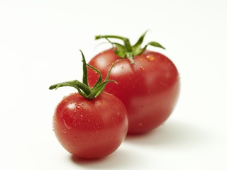 Tomatenduo