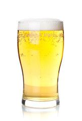 Cold lager beer