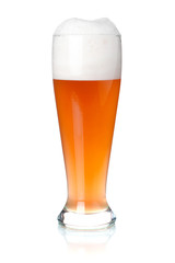 Red beer in glass