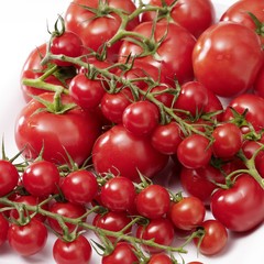 Tomaten