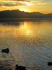 Sunset at Woerther Lake,Austria.