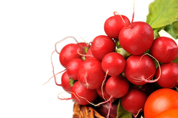 red  radish