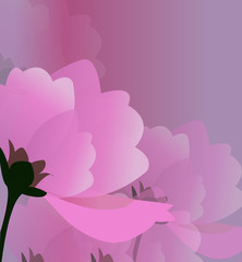 Gentle background in pink tones from large a flower