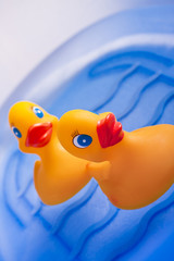 Duck bath