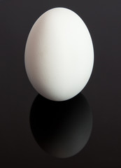 egg reflection - 21655928