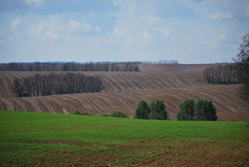 wavy agricultural highlands