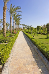 Stone path through a tropical garden