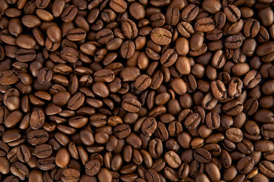 Coffee beans © PozitivStudija