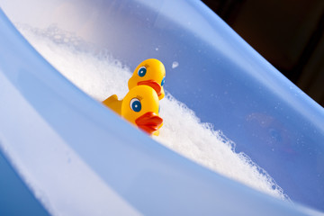 Duck bath