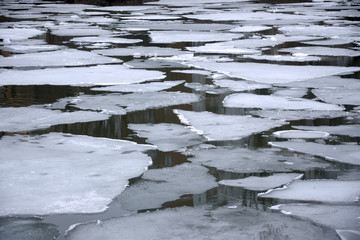 Melting ice floes in water