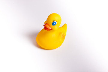 Yellow duck
