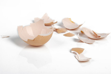 eggshell