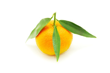 mandarin