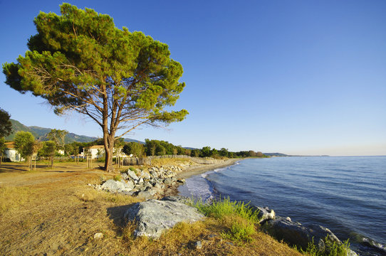 Plage De  Corse En Costa Verde