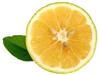 Fototapeta na wymiar citron vert naturellement bio , fond blanc