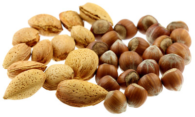 noisettes, amandes sèches, fond blanc