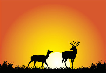 Fototapeta na wymiar two deers at sunset illustration